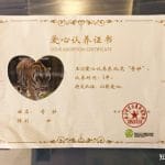 南京红山森林动物园喊「穷」直播筹款，已有约 150 只动物被认养，如何应对动物园运营困境？