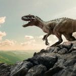 恐龙早就灭绝了，那我们怎么知道恐龙长什么样子呢？