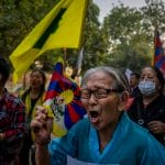 印度藏人声援中国白纸运动