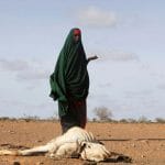 索马里:民众遭天灾人祸夹困