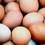 印度鸡蛋出口供马来西亚之需