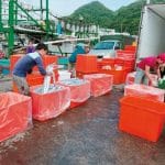 曾称台湾鱼类"验出新冠病毒"   中国突然解禁