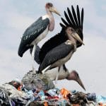 环境与发展 - 联合国打击塑料污染公约巴黎谈判看点