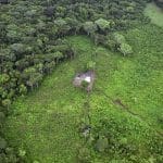 视频 保护“地球之肺” 巴西亚马逊森林砍伐减少1/3