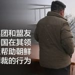 七国集团和盟友吁请中国在其领水制止帮助朝鲜规避制裁的行为