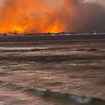 夏威夷大火历史名镇化灰烬 至少80人遇难