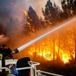 【视频】法国南部利用人工智能减少森林火灾