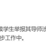 北京警方通报人大王某某被举报事件，已依法介入调查，涉事人可能会承担哪些法律责任？