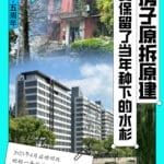 家在上海｜70年老房子原拆原建，为八旬阿婆保留了47年前种的水杉