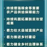 首提“农业新质生产力”，中央一号文件释放了哪些新信号？