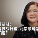 专访董洁林：北京和美国打科技战，决策是否明智？