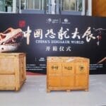 三件珍贵标本开箱！中国恐龙大展5月26日在沪开幕，明星标本汇聚一堂