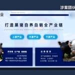 万元认养一头猪，200天就能赚6000元？起底“云养殖”里的骗局
