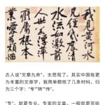 上海高考作文出处作者胡晓明：考生可能想骂我，但可写还蛮多