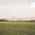 早报｜高考成绩出炉，宇树王兴兴报考建议火了/雷军：预计小米 YU7 会和 SU7 一样火爆/苹果官网上线国补