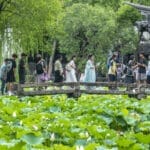 暑期旅游高峰来临：亲子家庭是出游主力军，大学生“特种兵式”旅游热度下降