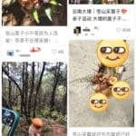 马上评｜掘地三尺找菌子：旅游不能只图猎奇忘了文明