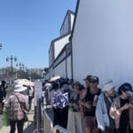观察｜当博物馆取消预约“一刀切”后