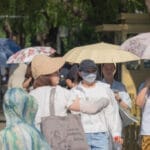 破解博物院预约难｜国博、故宫走访记：没预约，请回