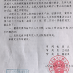 玩具店主售卖水弹枪一审被判非法买卖枪支罪，二审发回重审