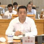 广西壮族自治区副主席、公安厅厅长杨维林任公安部副部长