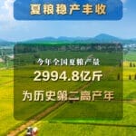 夏粮稳产丰收，七大亮点看上半年农业农村经济
