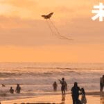 早报｜-电动三轮起名「问界」，官方道歉/马斯克发布 Grok4 ，年费最高超 2 万/小米汽车累计交付超 30 万