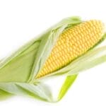 玉米粒为什么靠近根部排列比较乱，而越靠近尖端排列越整齐？