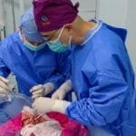 中国科学家完成全球首例猪肺移植到人体手术