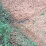54岁农民工如厕被误当猎物遭枪击身亡，家属：单位不认可工亡