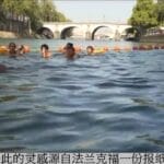 【视频】夏日避暑：在巴黎塞纳河中畅游 吸引数万游泳爱好者