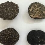 如果生物进化是为了适应环境，为何地球上的地理环境类型这么少，而生物的种类却有这么多？
