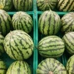 研究称吃瓜类食物可以延缓衰老，原理是什么？瓜类有哪些抗老成分？