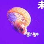 早报｜MacBook被曝将配备触控屏/Meta发布首款带屏幕AI眼镜/华为预测 2035 年 AI 发展：90% 中国家庭拥有机器人