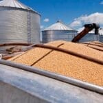 特习会前中企购买了三船美国大豆 美农业部长：是个良好的开端