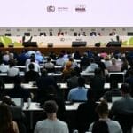 COP30 :  协议在抗议声中获通过