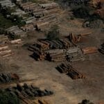 美国缺席COP30　特朗普政府推出重大环境松绑“开倒车”