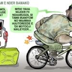 法国建议侨民暂时撤离马里