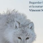 视频 法国著名野生动物摄影师Munier镜头下的生命之光